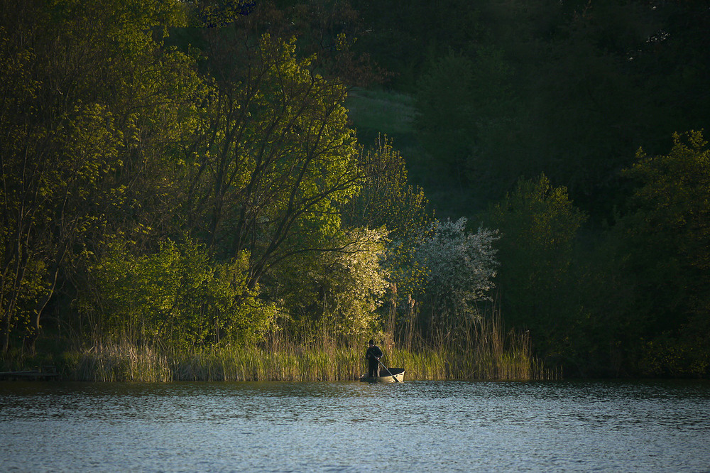 Фотографія *** / Валерий Савенко / photographers.ua