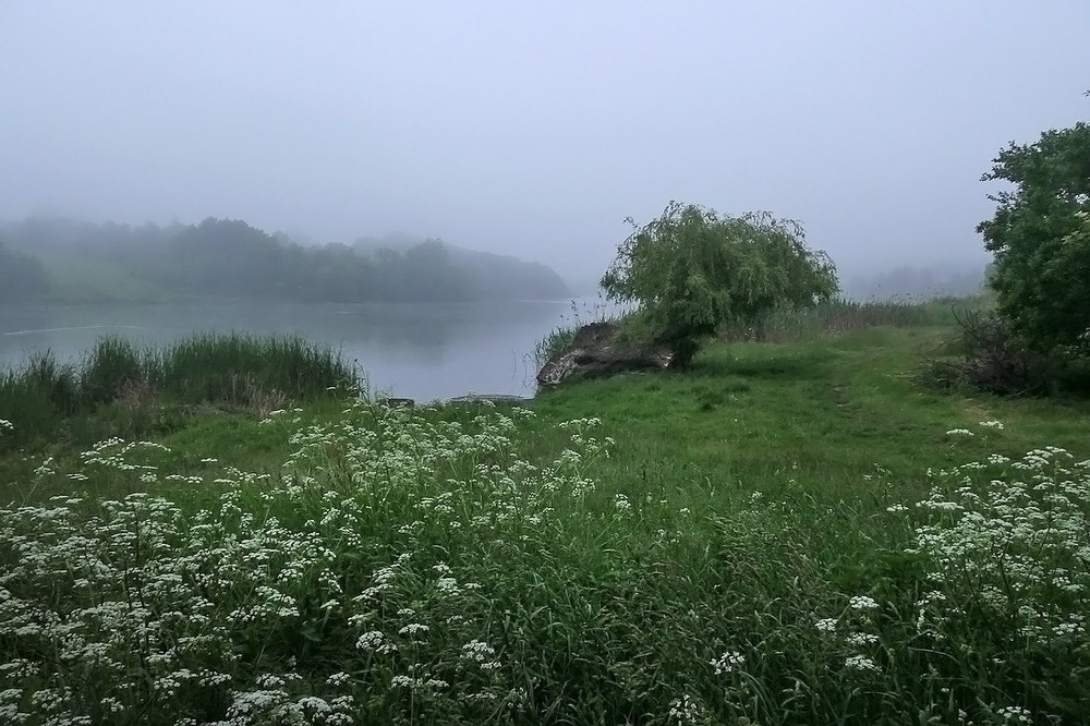 Фотографія Ранок 25.05.25 / Валерий Савенко / photographers.ua