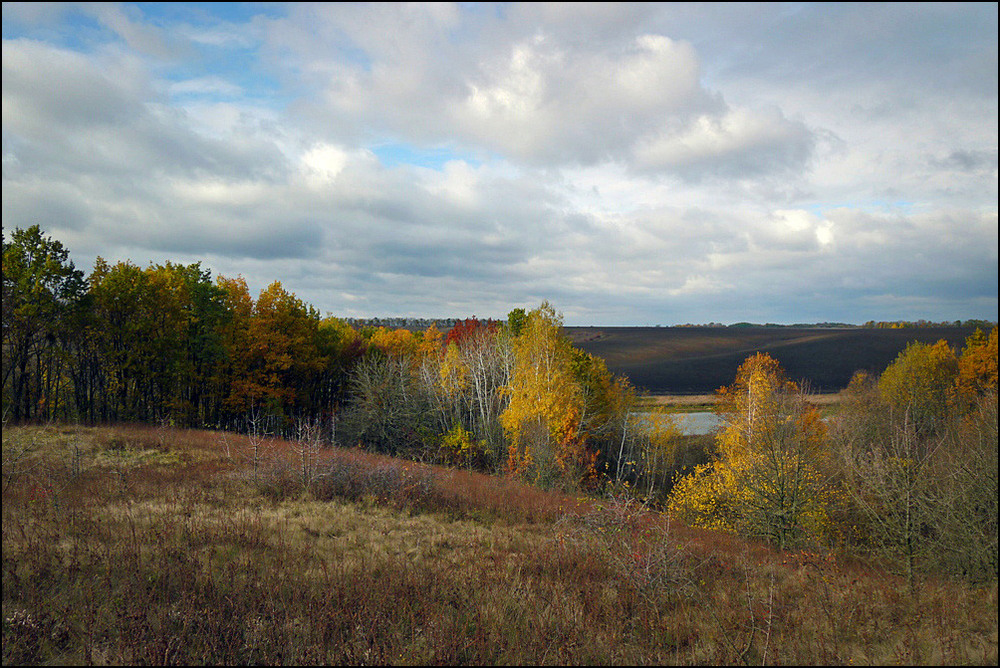 Фотографія 25.10.25 10:40 / Валерий Савенко / photographers.ua