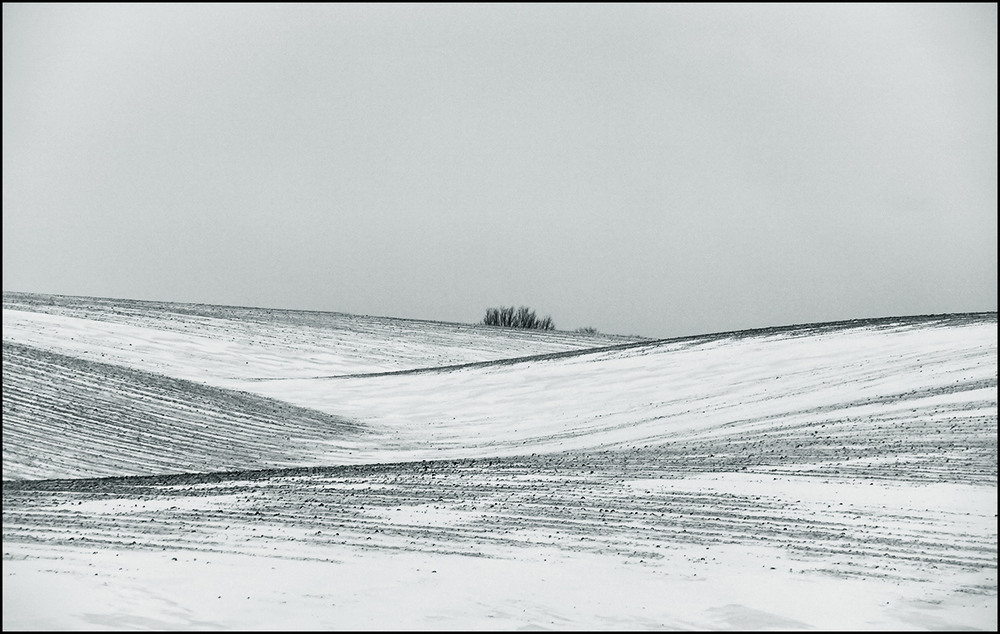 Фотографія 31.12.25 / Валерий Савенко / photographers.ua