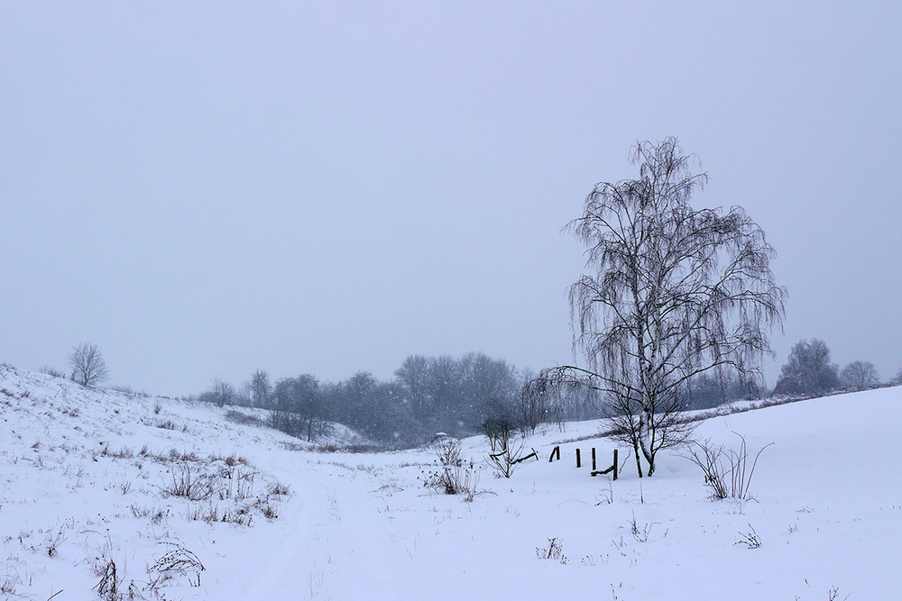 Фотографія 25.01.26 / Валерий Савенко / photographers.ua