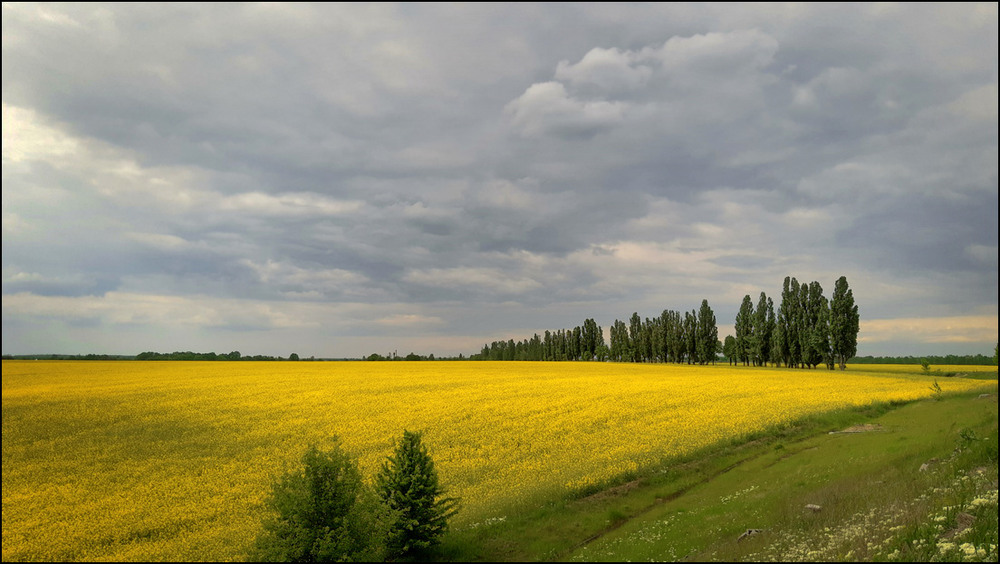 Фотографія Перед дощем. / Валерий Савенко / photographers.ua