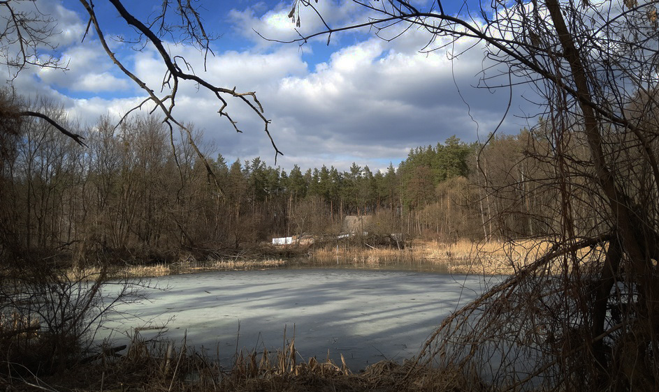 Фотографія Предчувствие весны / Валерий Савенко / photographers.ua