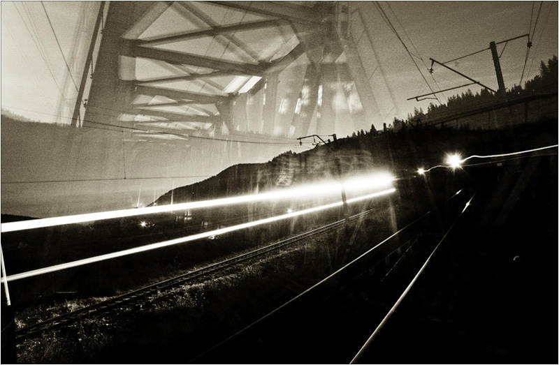 Фотографія свой у каждой пылинки маршрут / Дарья Гайдаш / photographers.ua