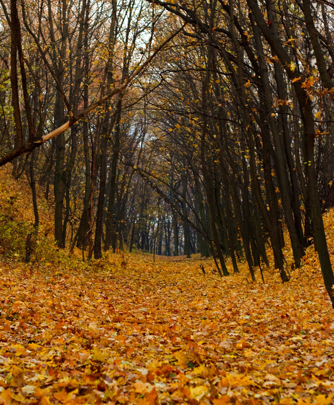 Фотографія Пейзаж / Ildius / photographers.ua