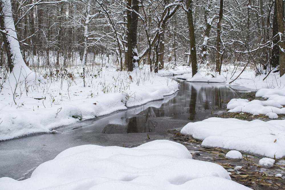 Фотографія Зимовий струмок / Николай Деревянко / photographers.ua