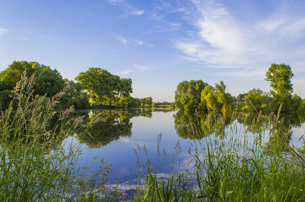 Фотографія Тихая заводь / Николай Деревянко / photographers.ua