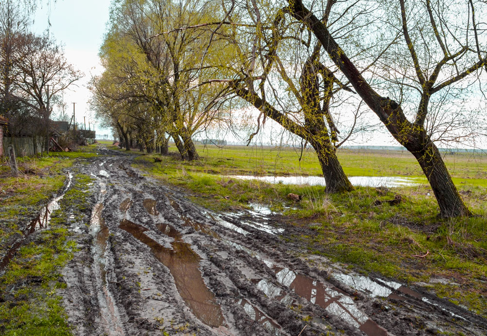 Фотографія Весняна дорога / Николай Деревянко / photographers.ua