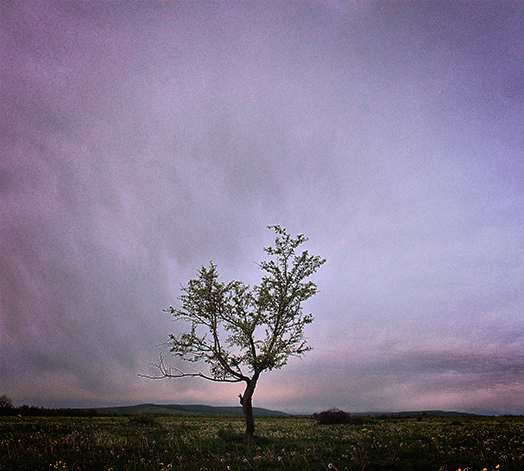 Фотографія *** / Сергій / photographers.ua