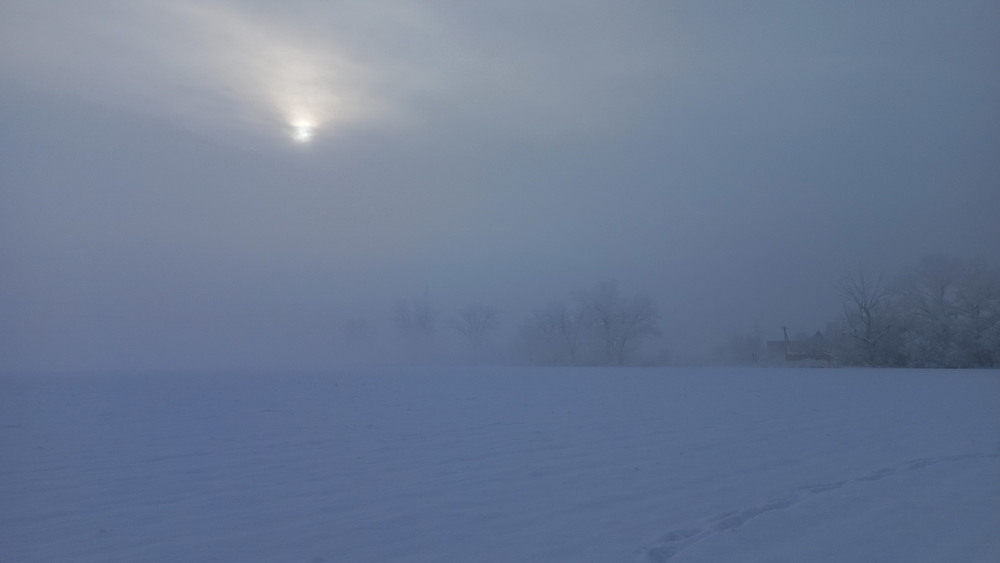 Фотографія *** / Роман Гладышев / photographers.ua