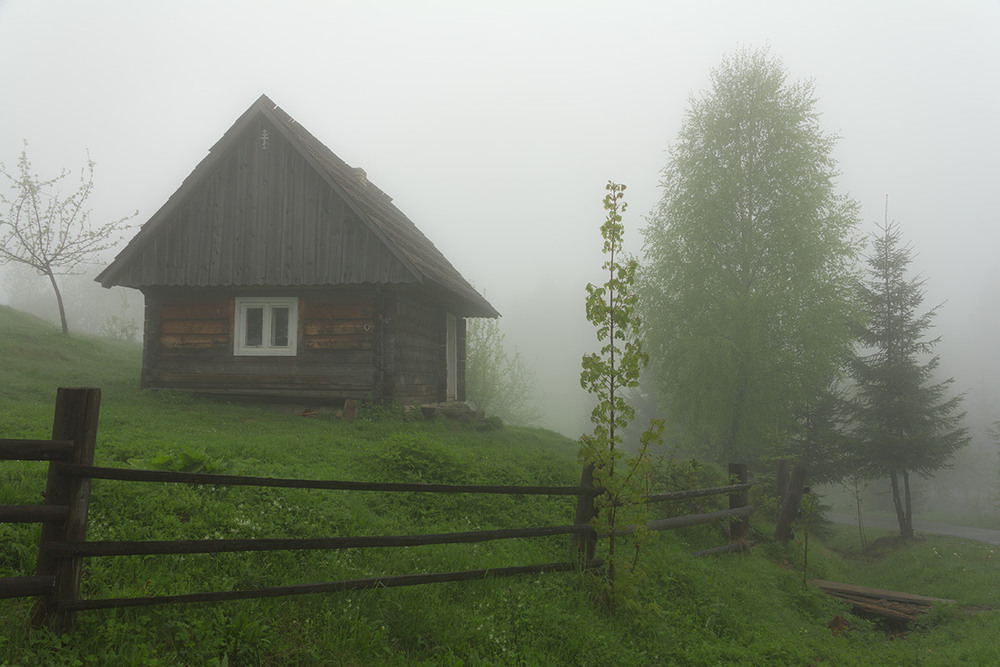 Фотографія Туман на Синевире / Роман Гладышев / photographers.ua