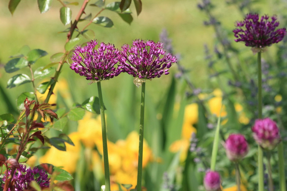 Фотографія *** / Роман Гладышев / photographers.ua