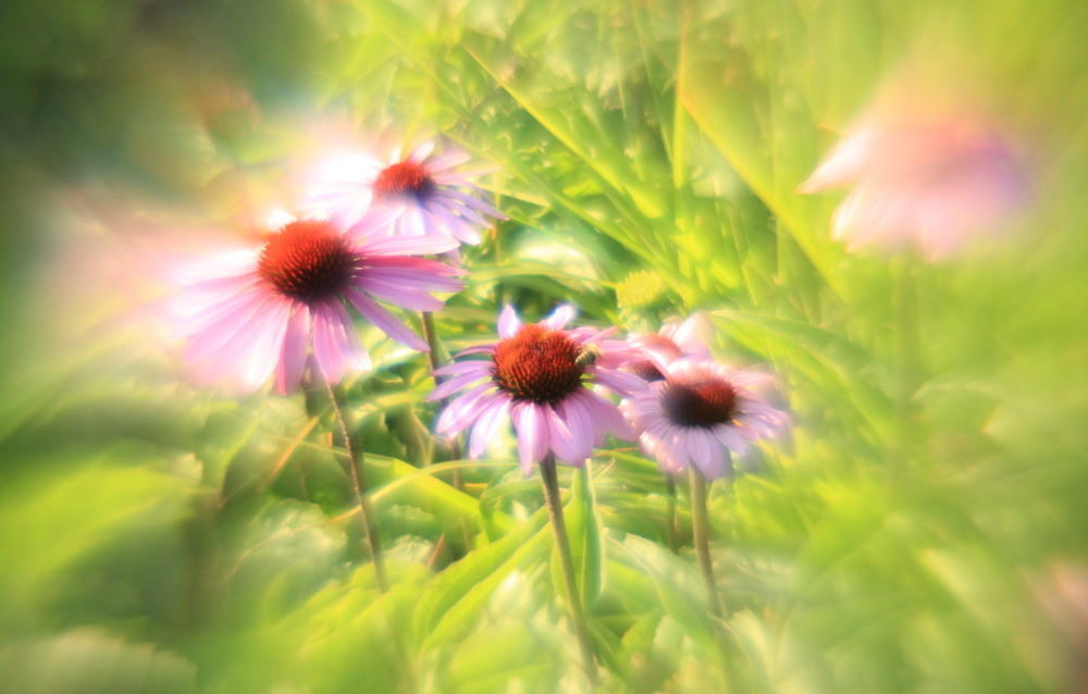 Фотографія *** / Роман Гладышев / photographers.ua