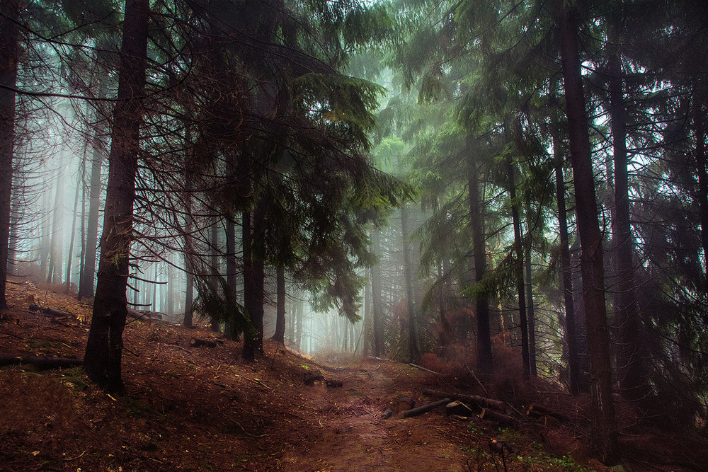 Фотографія Пейзаж / Ivan Kostyk / photographers.ua