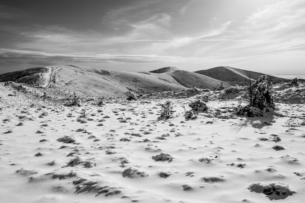 Фотографія Перший гірський сніг / Ivan Kostyk / photographers.ua