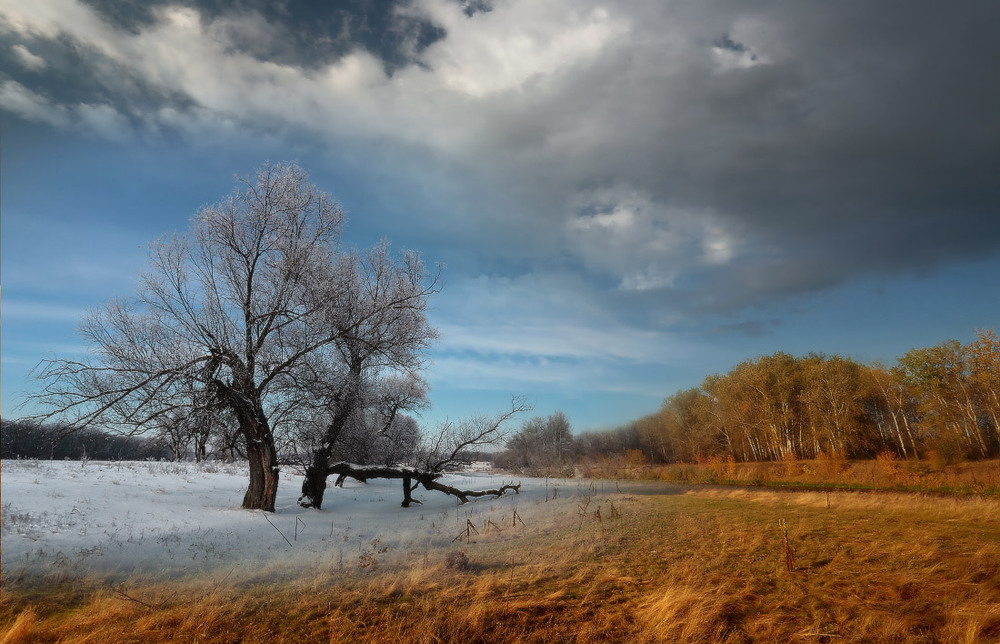Фотографія Завтра була зима. / Валерий ПЕТРИЧЕНКО / photographers.ua