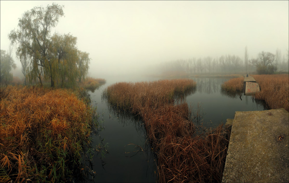 Фотографія Ах, осень, что в душе творится... / Валерий ПЕТРИЧЕНКО / photographers.ua