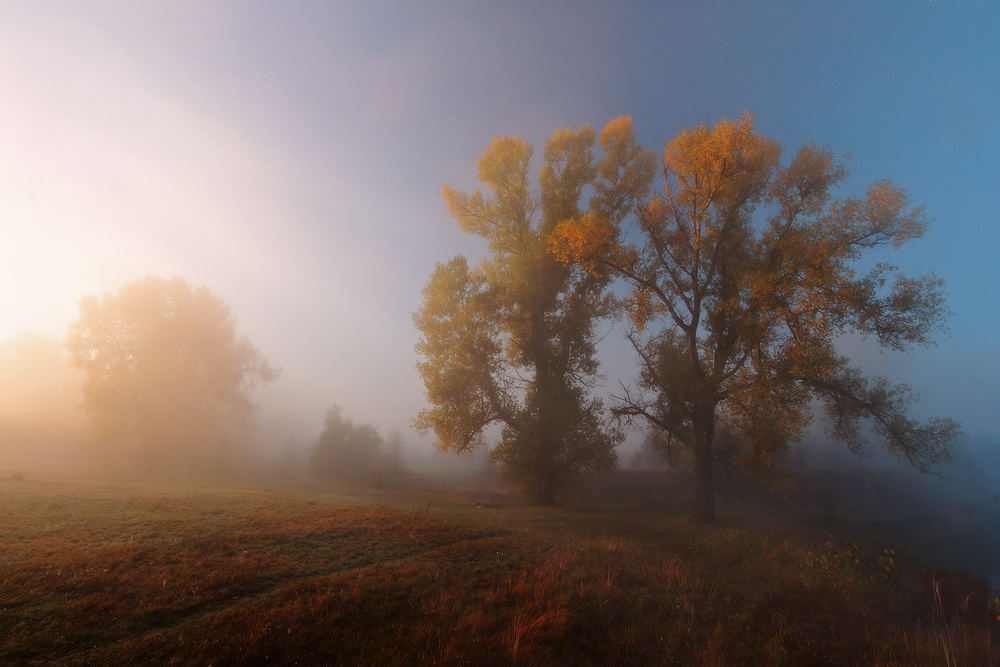 Фотографія Утро купалось в осеннем тумане. / Валерий ПЕТРИЧЕНКО / photographers.ua