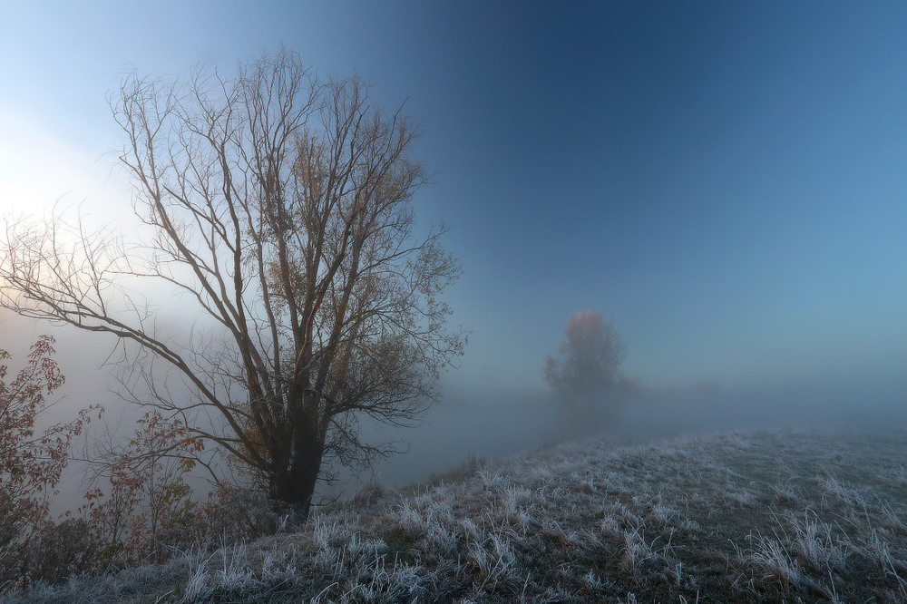 Фотографія Утро серо, морозный туман. / Валерий ПЕТРИЧЕНКО / photographers.ua