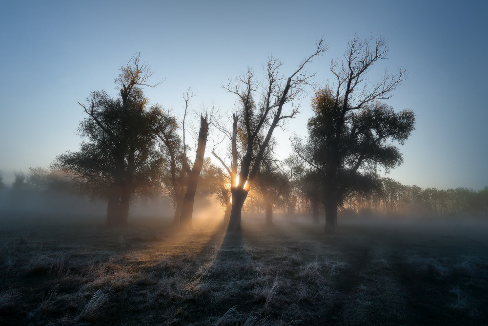 Фотографія Вчера туман, сегодня вдруг морозы. / Валерий ПЕТРИЧЕНКО / photographers.ua