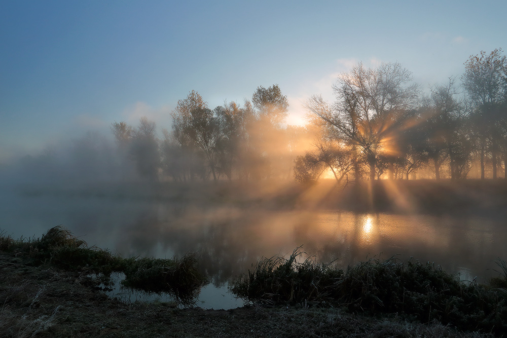Фотографія Сквозь туман пробиваются солнца лучи. / Валерий ПЕТРИЧЕНКО / photographers.ua