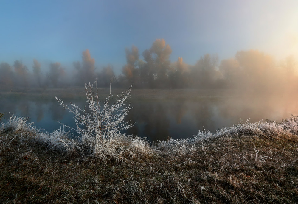 Фотографія Холодный воздух лёг на землю / Валерий ПЕТРИЧЕНКО / photographers.ua
