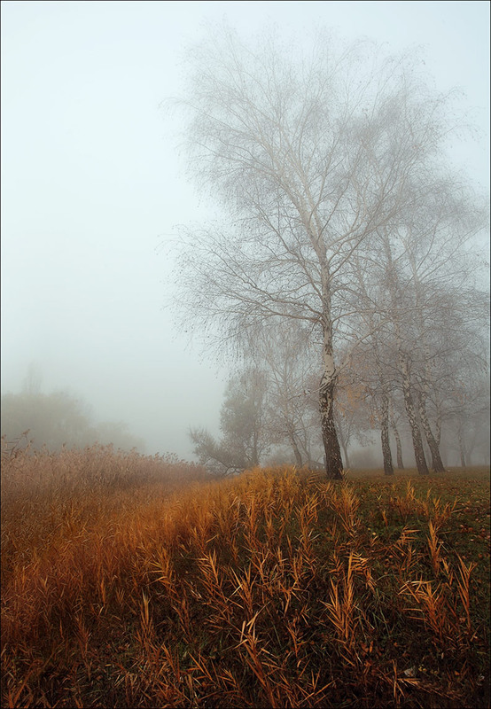 Фотографія Утро купалось в осеннем тумане. / Валерий ПЕТРИЧЕНКО / photographers.ua