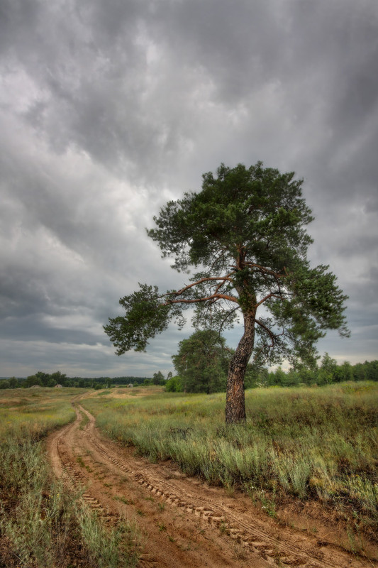 Фотографія Пейзаж / Валерий ПЕТРИЧЕНКО / photographers.ua