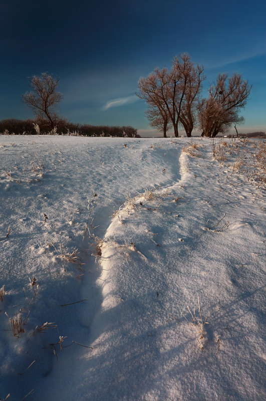 Фотографія Тропинками зимы / Валерий ПЕТРИЧЕНКО / photographers.ua