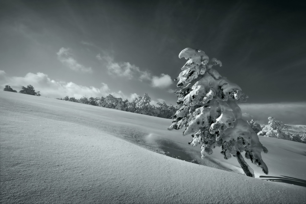 Фотографія Про зиму / Валерий ПЕТРИЧЕНКО / photographers.ua