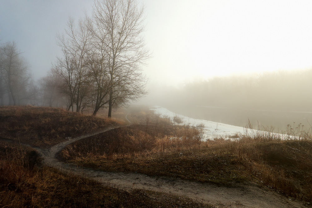 Фотографія Пахнет листвою и тёплым туманом / Валерий ПЕТРИЧЕНКО / photographers.ua