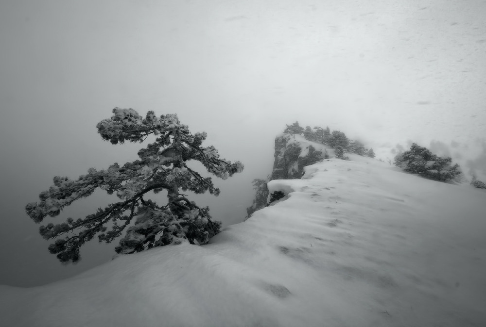 Фотографія Закружилась в небе снега кутерьма. / Валерий ПЕТРИЧЕНКО / photographers.ua