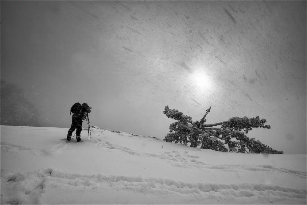 Фотографія И в снег и в зной... / Валерий ПЕТРИЧЕНКО / photographers.ua