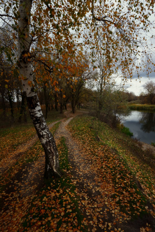 Фотографія Осень милая вдруг погрустнела. / Валерий ПЕТРИЧЕНКО / photographers.ua