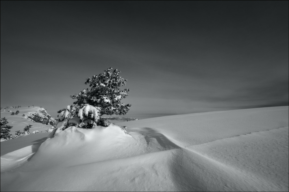 Фотографія Геометрия зимы / Валерий ПЕТРИЧЕНКО / photographers.ua