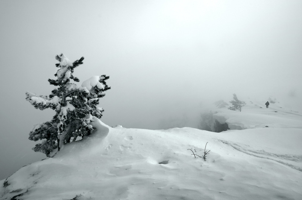 Фотографія Дул ветер словно снежный вал.  То с ног сбивал,то отступал. / Валерий ПЕТРИЧЕНКО / photographers.ua