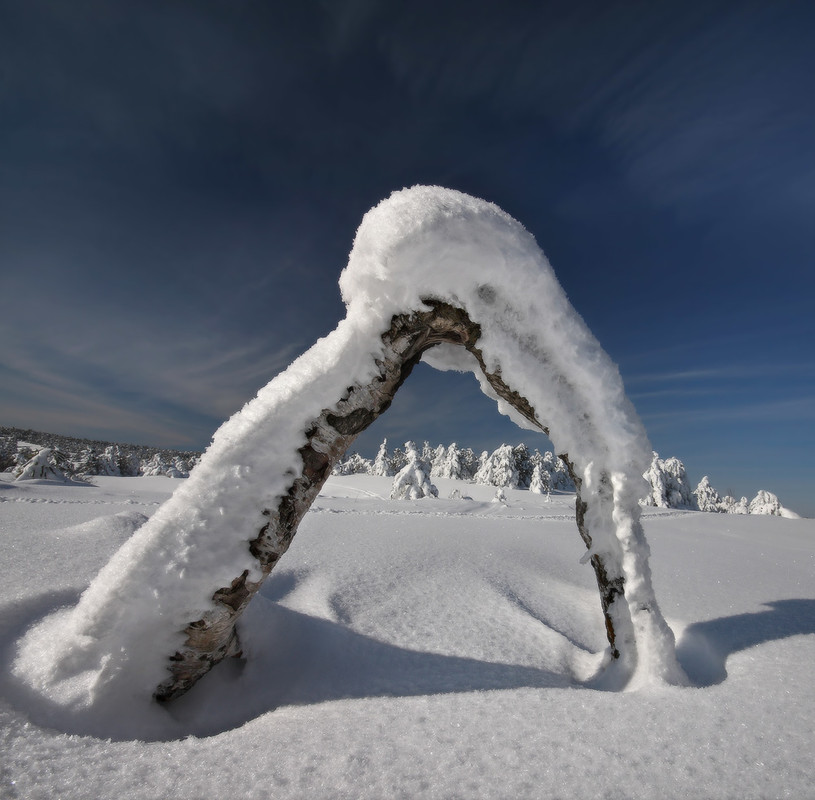 Фотографія Там территория зимы / Валерий ПЕТРИЧЕНКО / photographers.ua