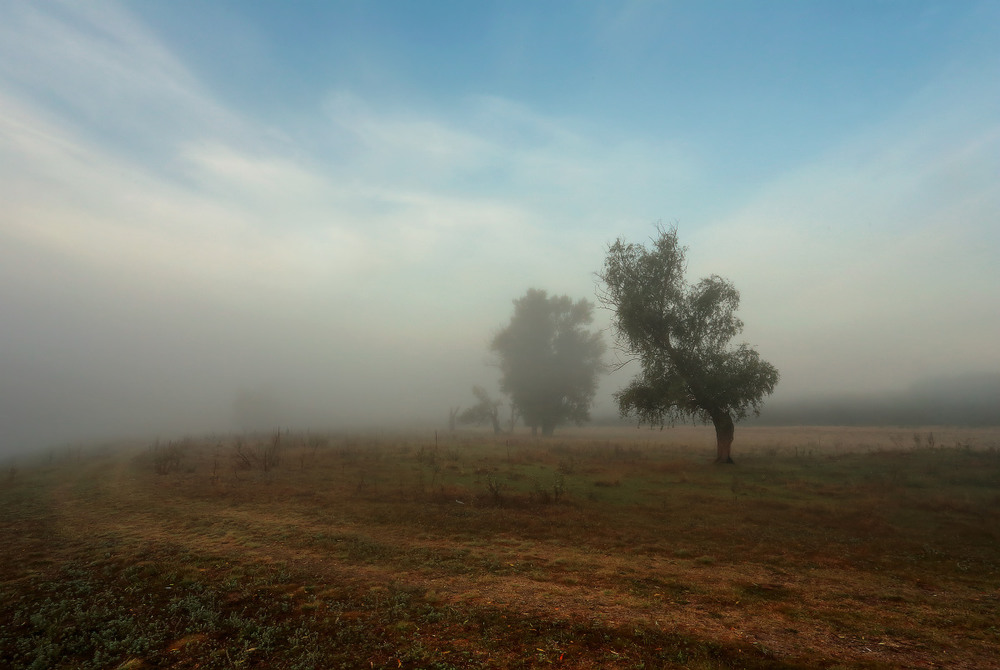 Фотографія Туман в низинках белизной холодной / Валерий ПЕТРИЧЕНКО / photographers.ua