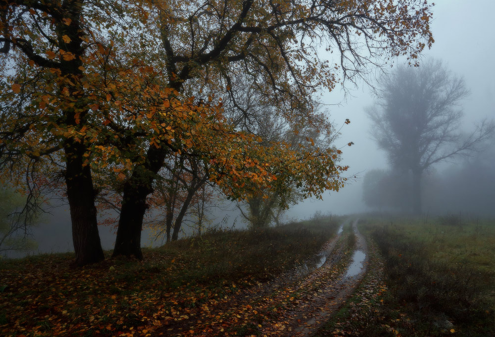 Фотографія Ходит осень по дорожке. / Валерий ПЕТРИЧЕНКО / photographers.ua