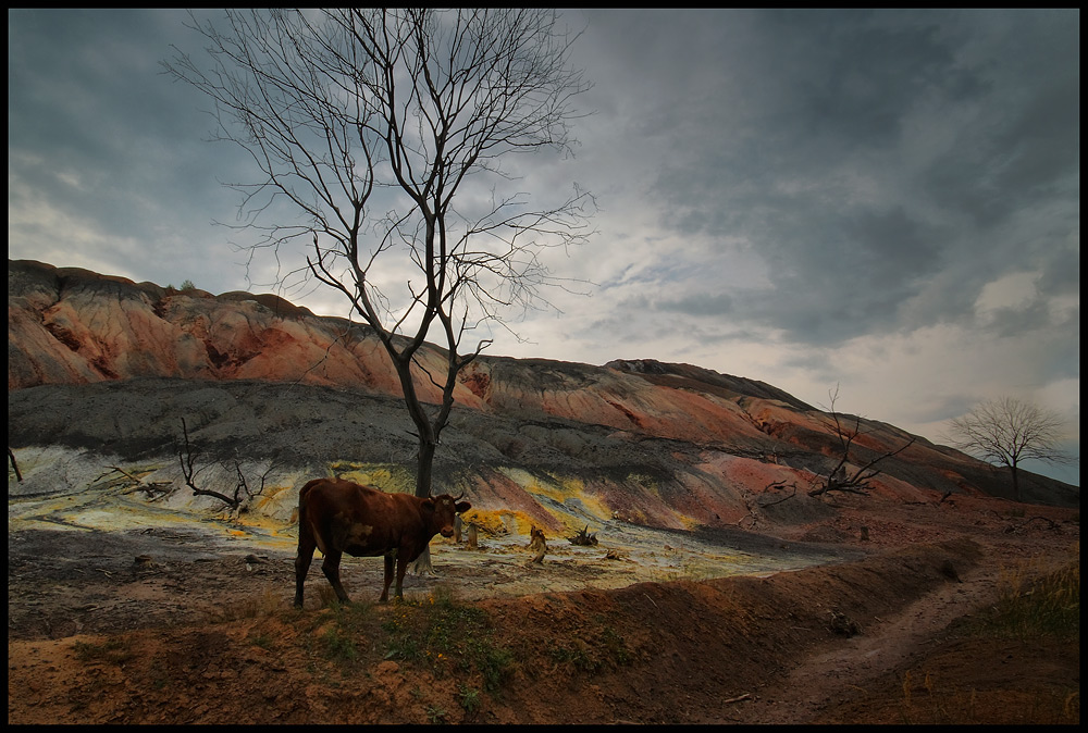 Фотографія Пейзаж / Валерий ПЕТРИЧЕНКО / photographers.ua