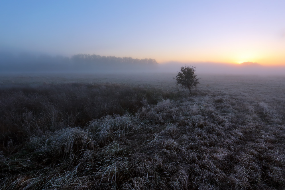 Фотографія Холодное дыханье  осеннего утра. / Валерий ПЕТРИЧЕНКО / photographers.ua