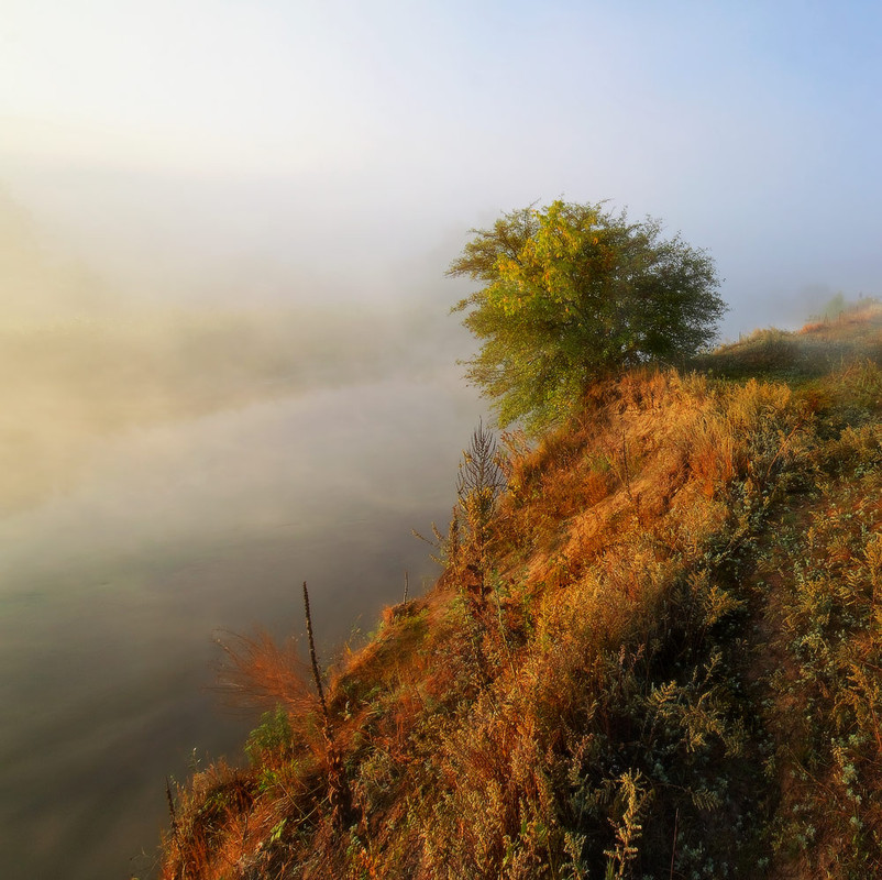 Фотографія Вокруг -  молочная река. / Валерий ПЕТРИЧЕНКО / photographers.ua