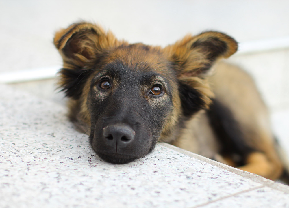 Фотографія френд... / Оля Гудим / photographers.ua