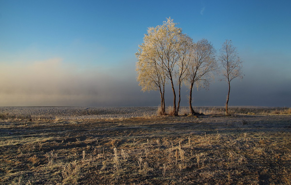Фотографія Frozen morning / Сергей S / photographers.ua