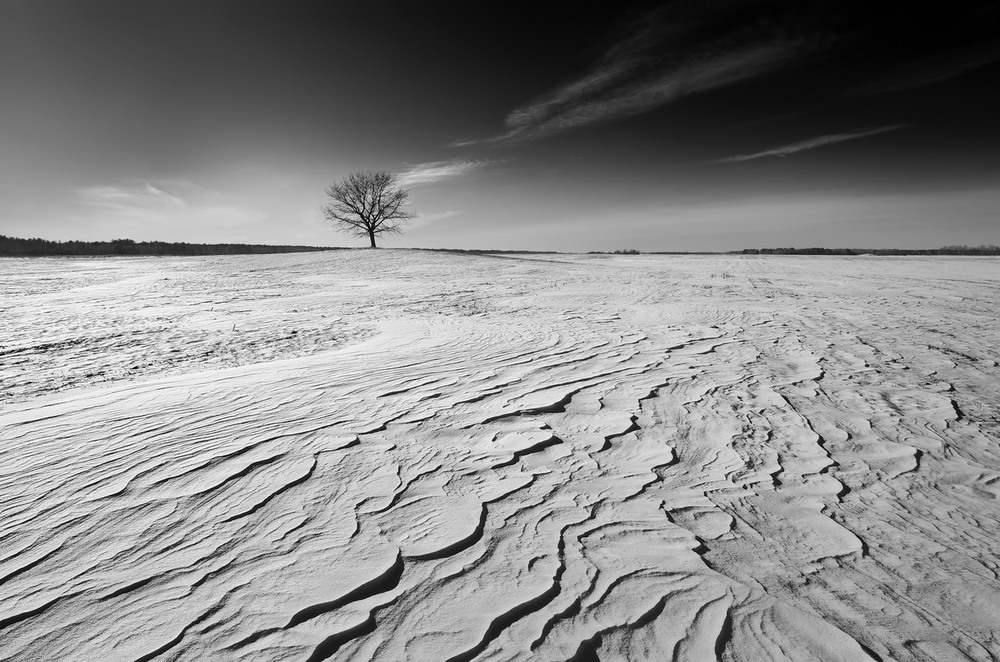 Фотографія Snow desert / Сергей S / photographers.ua