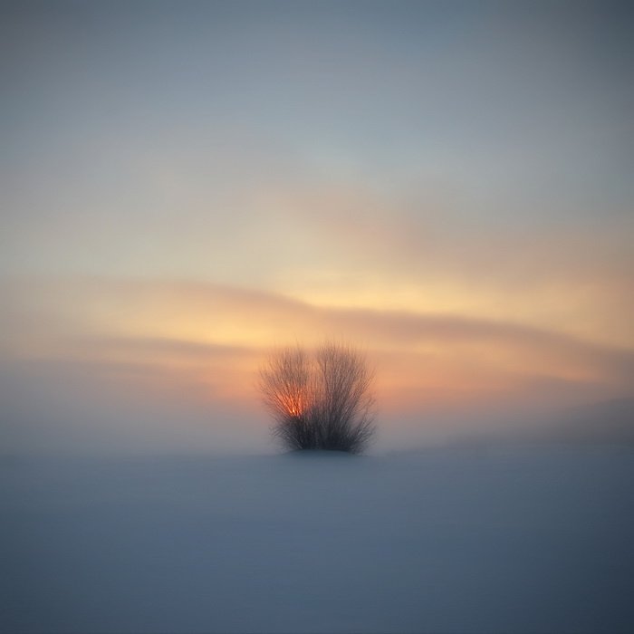 Фотографія зимний рассвет / Сергей S / photographers.ua