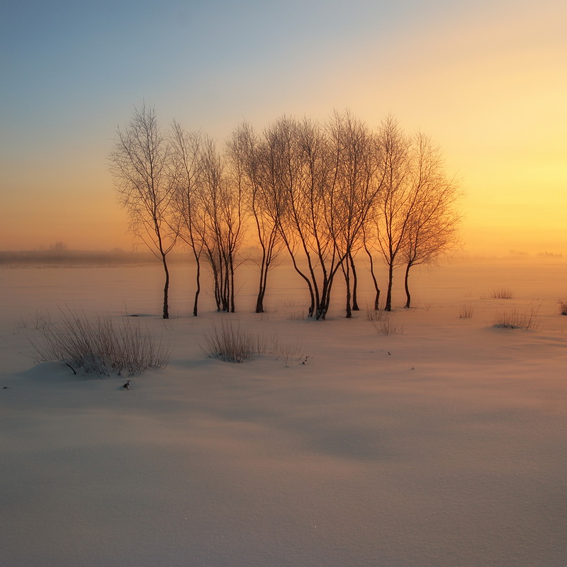 Фотографія зимнее утро / Сергей S / photographers.ua