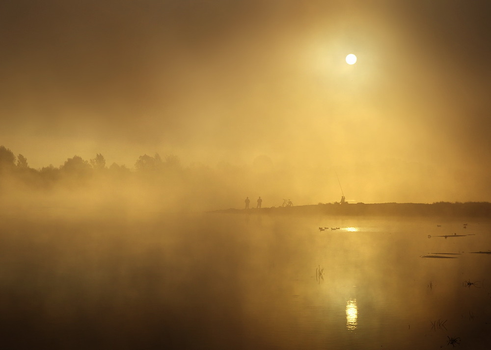 Фотографія В утреннем тумане / Сергей S / photographers.ua