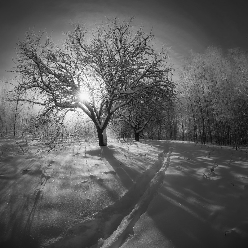 Фотографія мороз и солнце... / Сергей S / photographers.ua