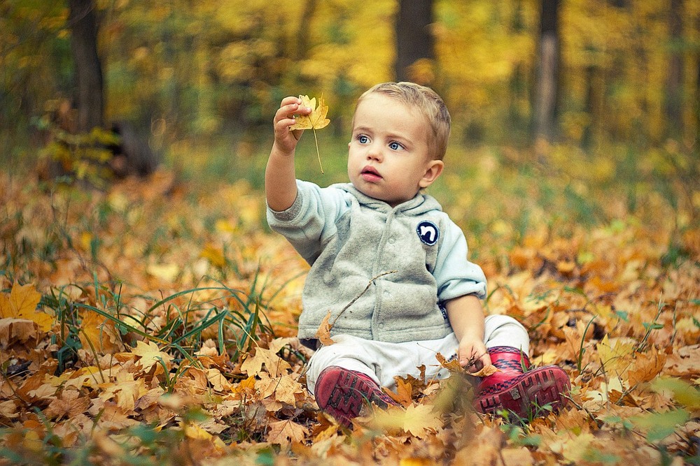 Фотографія Изучаем структуру листочка) / Илья  Бардин / photographers.ua